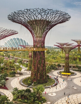 Singapore Tour