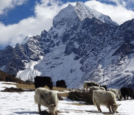 Everest View Trek