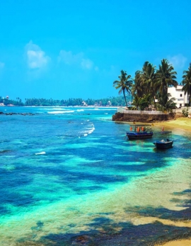 Best Of SriLanka Tour